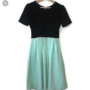 LuLaRoe Dresses - Lularoe Amelia Dress NWT LuLaRoe Dresses - Lularoe Amelia Dress NWT